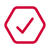 hexagon-check 1